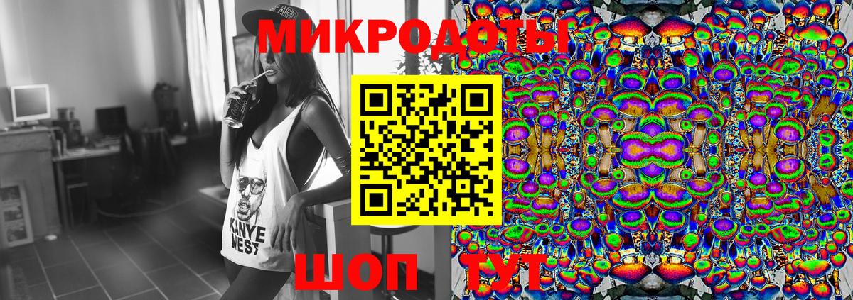 Галлюциногенные грибы Psilocybe Керчь